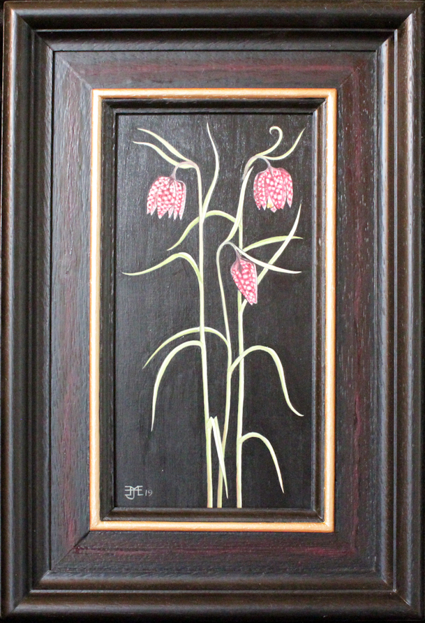 Snake Head Fritillary's