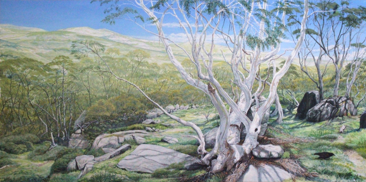 Australian Snowgums